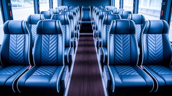 30 passenger minibus rental surprise