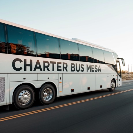 56 passenger motorcoach