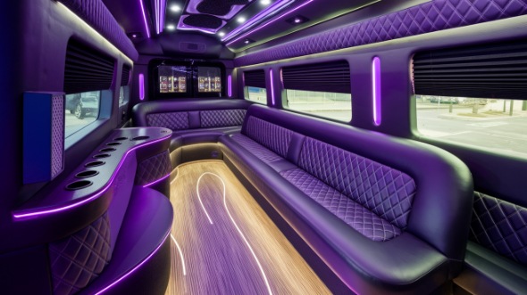 sprinter limo rental rental goodyear