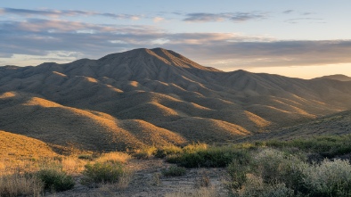 white tank mountain regional park