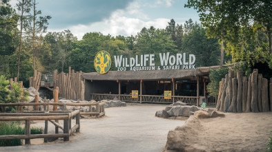 wildlife world zoo aquarium safari park